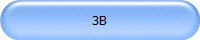 3B