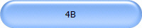 4B