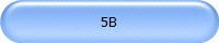 5B