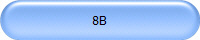 8B
