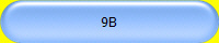 9B