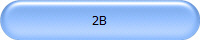 2B