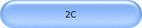 2C